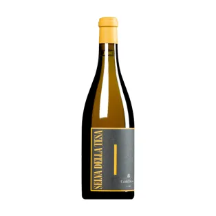 Փրփրուն գինի «Ca'del Bosco Selva della Tesa Sebino Chardonnay» 750մլ