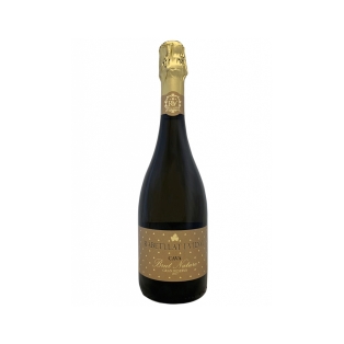 Sparkling wine `Cava Rabetllat i Vidal Gran Reserva Brut Nature` 750ml