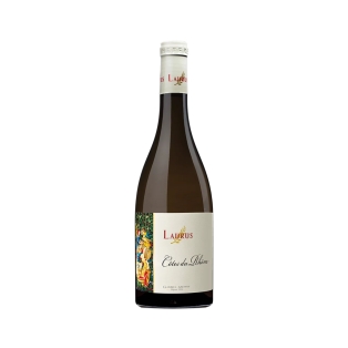 Գինի «Gabriel Meffre Côtes du Rhône» սպիտակ, չոր 750մլ