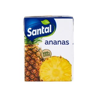 Հյութ «Santal» արքայախնձոր 200մլ