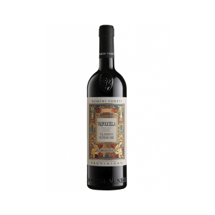 Wine `Domini Veneti Ripasso Valpolicella Pruviniano` red, dry 750ml
