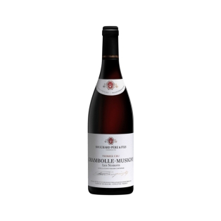 Wine `Bouchard Pere & Fils Les Noirots` red, dry 750ml