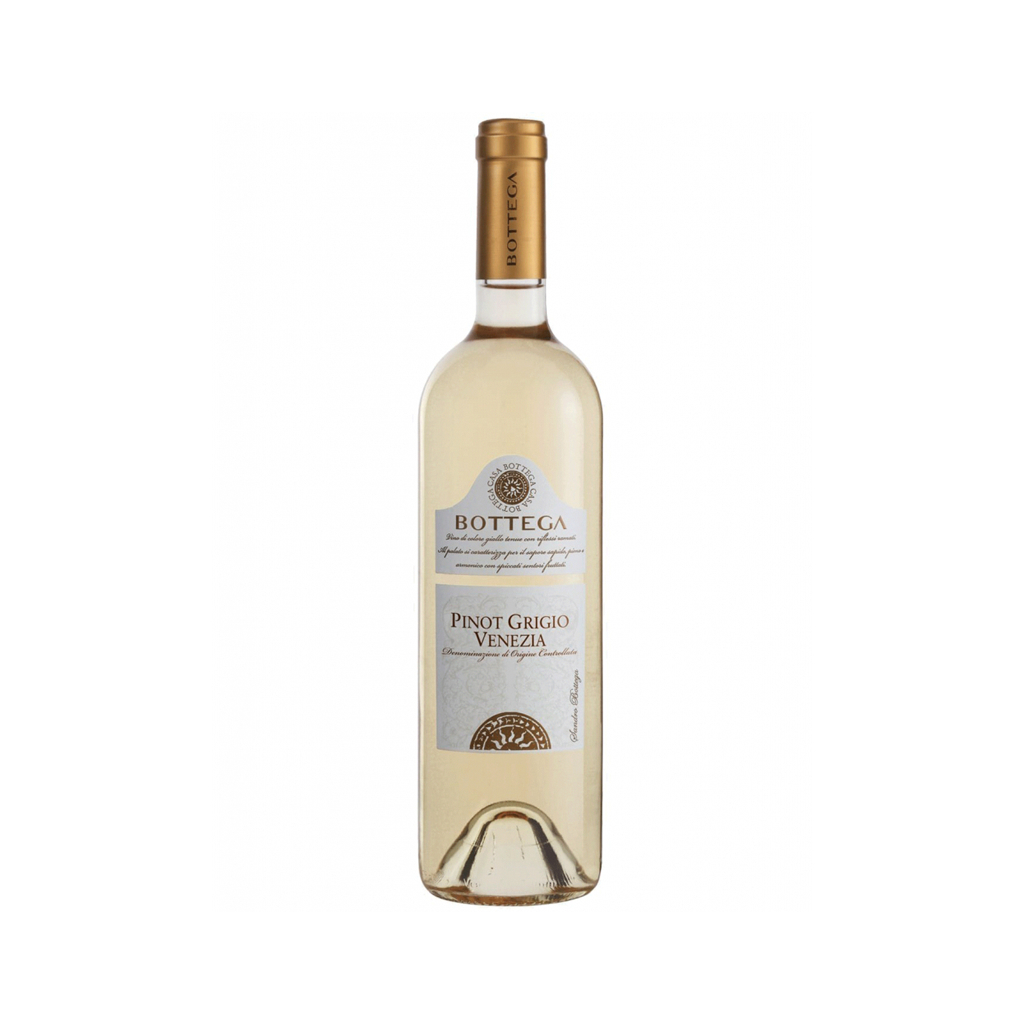 Wine `Bottega Pinot Grigio` white, dry 750ml