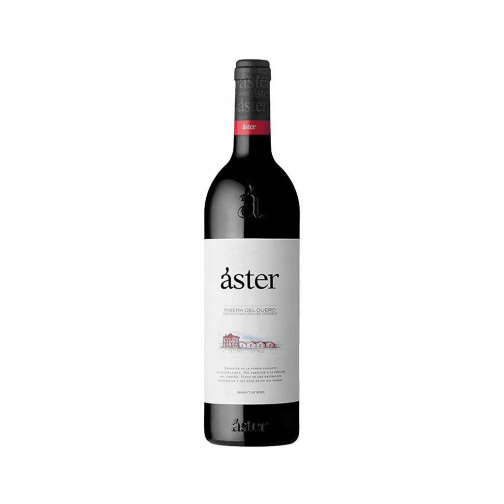Вино `Vinedos Bodegas Áster` красное, сухое 750мл